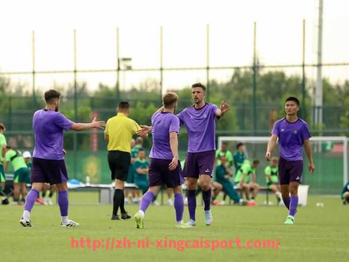 杏彩体育-法甲外援依赖性及其对球队战绩的影响研究