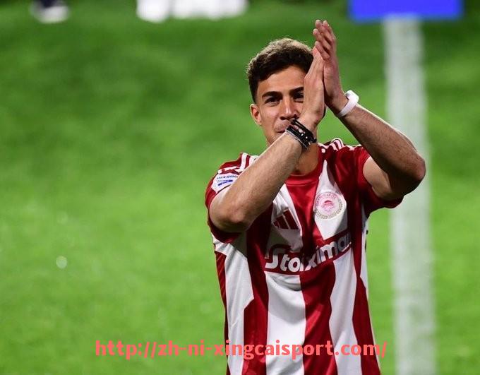 杏彩体育-法甲外援依赖性及其对球队战绩的影响研究