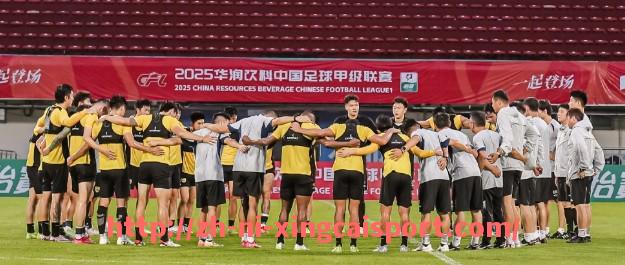 杏彩体育-世俱杯官方App功能介绍，随时掌握赛事动态