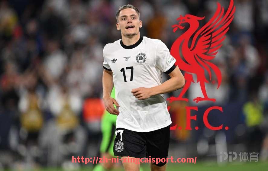 杏彩体育-法甲球队粉丝基础及球迷市场发展潜力研究